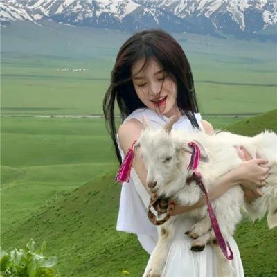 狐妖小红娘月红篇