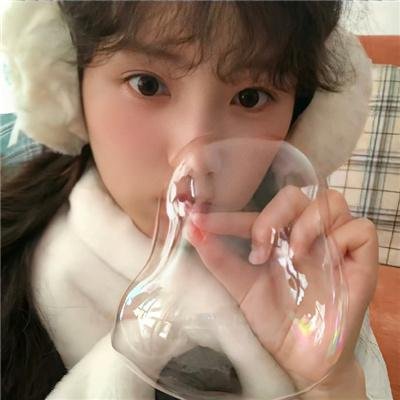 山茶花飘零